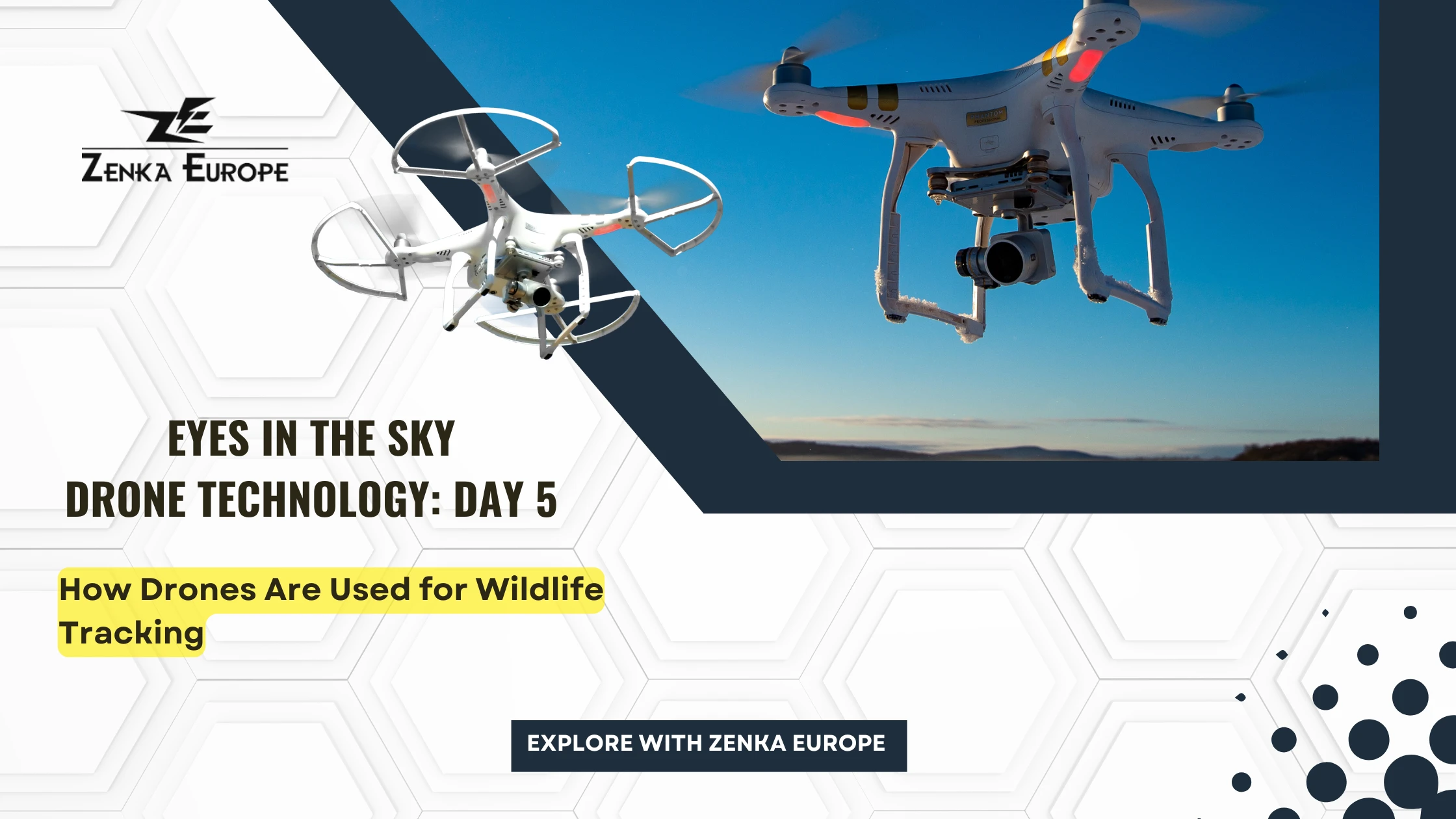 How Drones Are Used for Wildlife Tracking